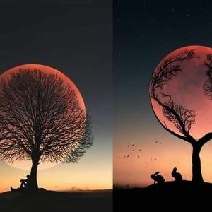 Meet your Posher, Jesse